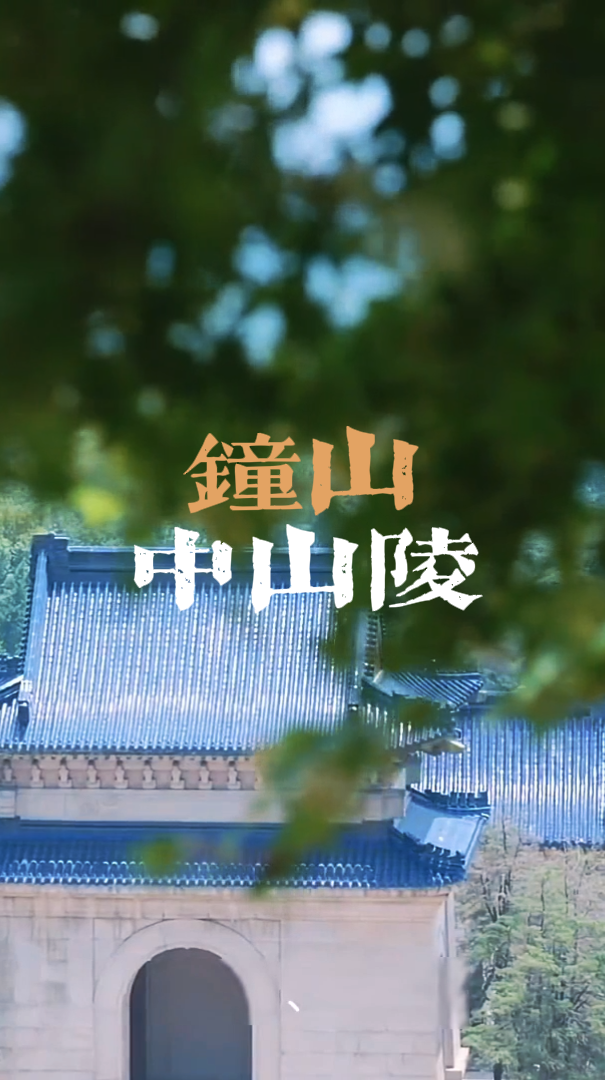 南京中山陵｜392 级台阶藏着家国情怀，在中山陵顶端看尽紫金山壮阔