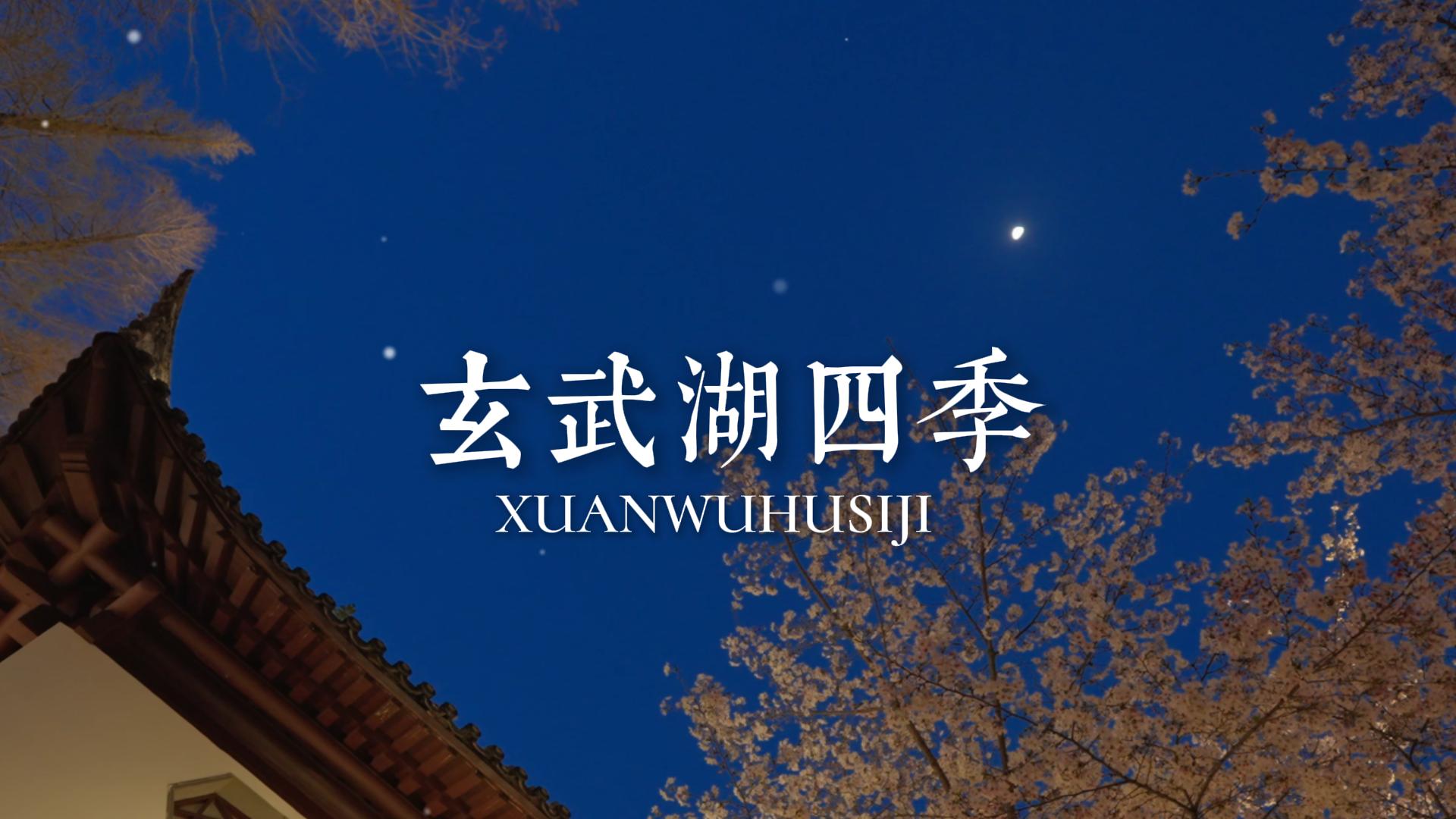 赴玄武湖四季之约,赏四季限定美景