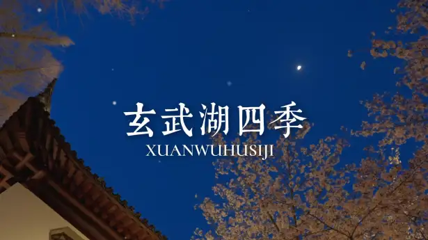 赴玄武湖四季之约,赏四季限定美景