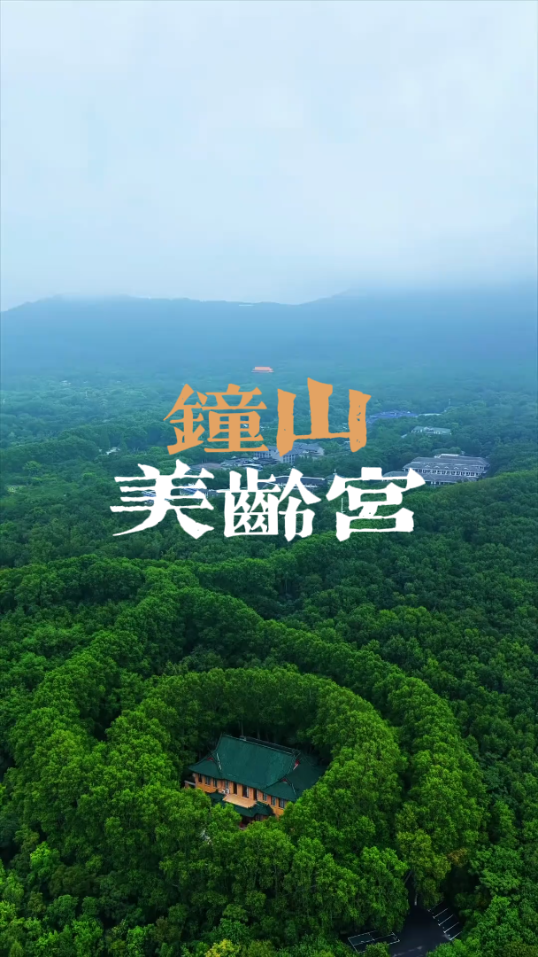南京钟山美龄宫一日游，第一次来美龄宫怎么玩？美龄宫到底多奢华？