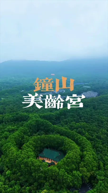 南京钟山美龄宫一日游，第一次来美龄宫怎么玩？美龄宫到底多奢华？