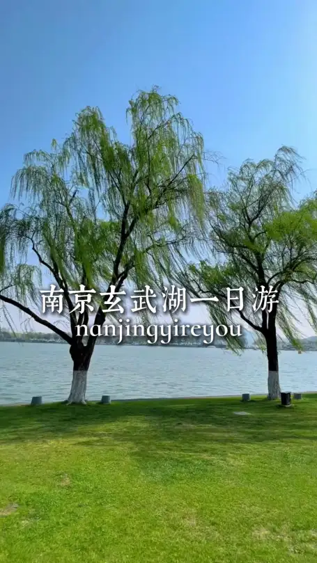 玄武湖一日游|慢逛金陵湖景,体验地道生活