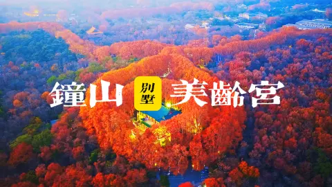 南京美龄宫游玩攻略|美龄宫要怎么逛？不绕路不踩雷，看完就出发
