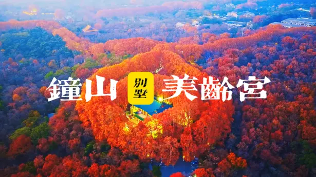 南京美龄宫游玩攻略|美龄宫要怎么逛？不绕路不踩雷，看完就出发