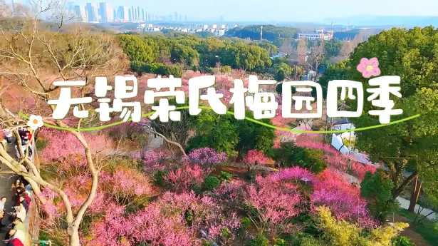 来无锡赏千年梅韵，看星光不夜天，无锡荣氏梅园四季游赏与奇幻夜游全攻略！