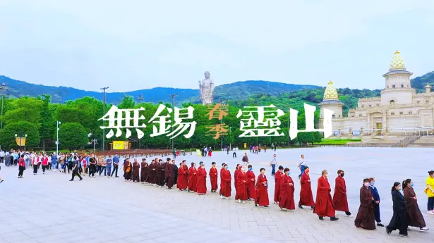 中国灵山胜境除了看大佛还能看什么?来中国灵山胜境看花、修心、食素,这份四季指南带你玩转中国无锡灵山!