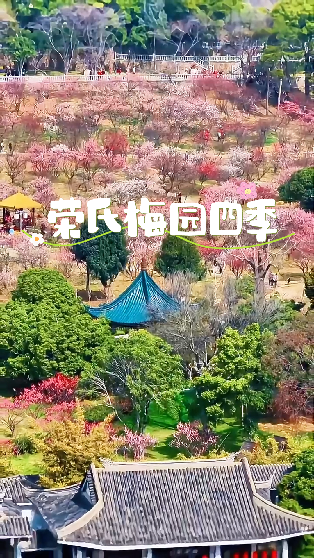来中国赏花，无锡的荣氏梅园是不可错过的存在， 来无锡赏梅，看四季美景