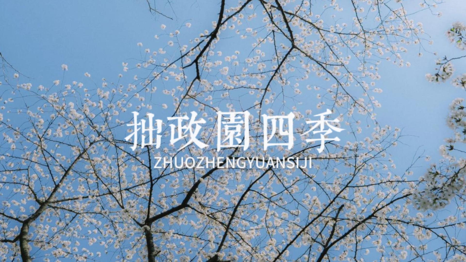 苏州拙政园四季游览指南，告诉你为什么一年四次都要来拙政园逛逛？