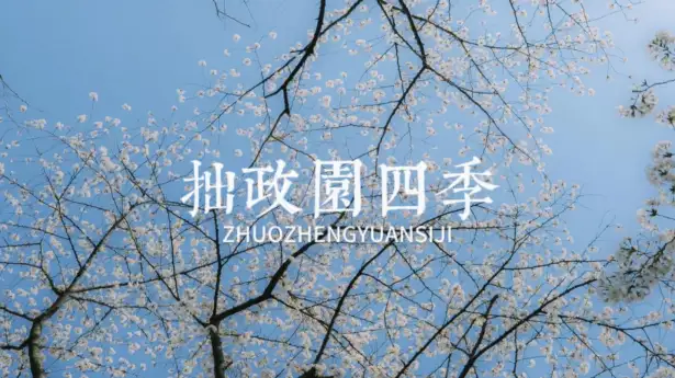 苏州拙政园四季游览指南,告诉你为什么一年四次都要来拙政园逛逛?