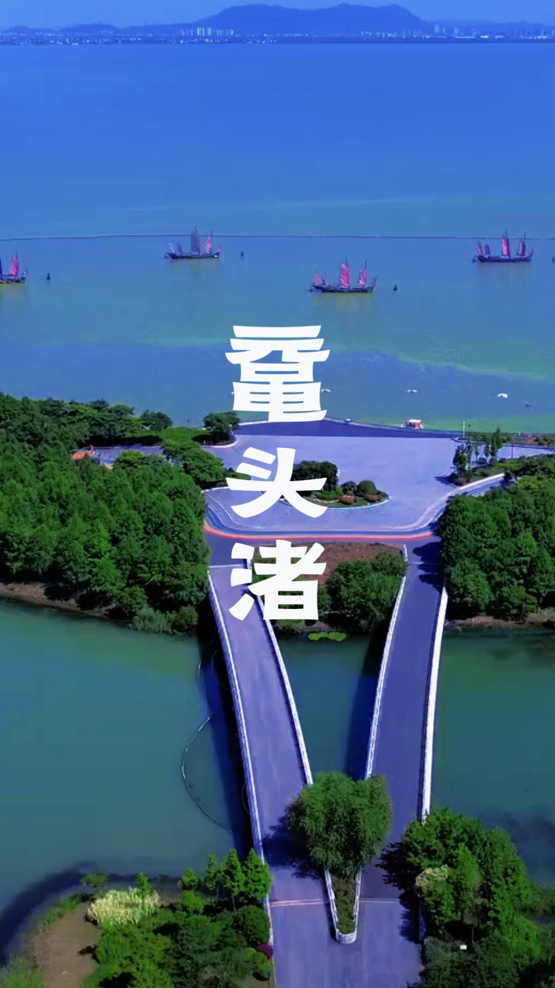 春季赏樱、夏季观荷、秋来赏秋、冬季观鸥：鼋头渚景区四季游玩攻略！