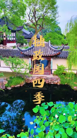 苏州拙政园四季风景究竟有多美？这条视频带你看遍拙政园一年四季