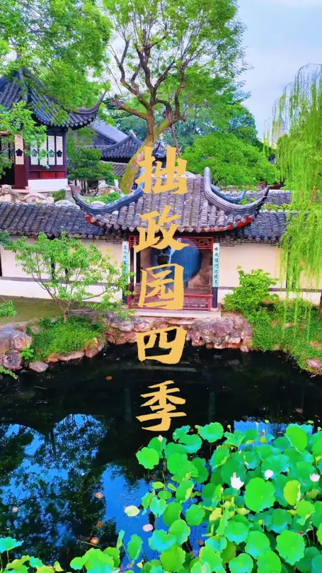 苏州拙政园四季风景究竟有多美?这条视频带你看遍拙政园一年四季