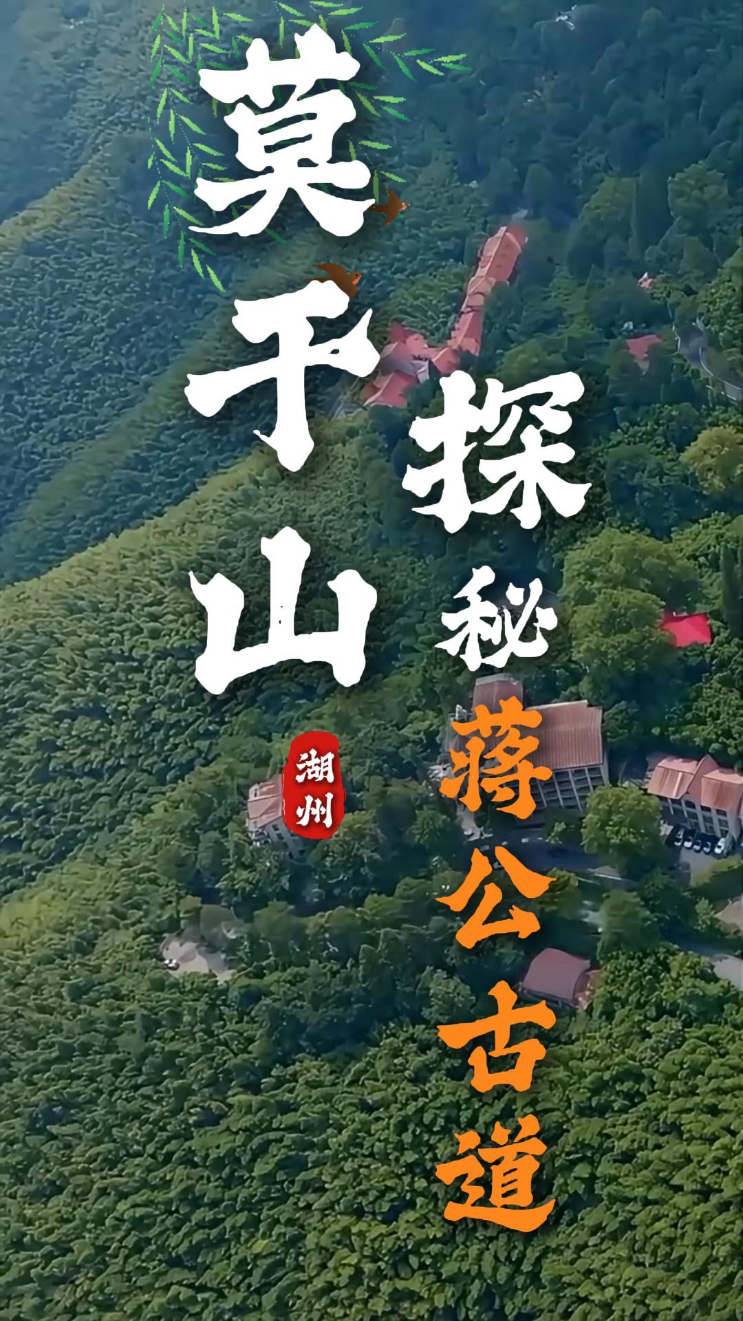 莫干山小众徒步路线，避开人潮走莫干山，蒋公古道小众徒步路线新手友好不踩雷