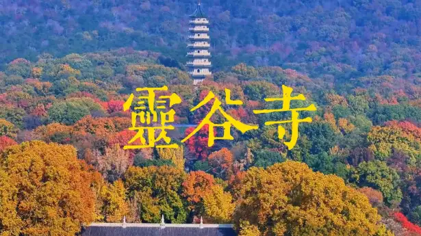 为什么无梁殿没有梁却屹立六百年？这条灵谷寺一日游视频带你走进灵谷寺，探究真相