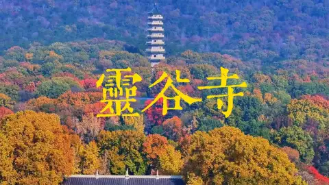 为什么无梁殿没有梁却屹立六百年?这条灵谷寺一日游视频带你走进灵谷寺,探究真相