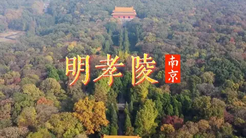 来南京旅游，别再只盯着那些网红打卡点了，这条南京一日游攻略带你走进明孝陵