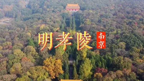 来南京旅游，别再只盯着那些网红打卡点了，这条南京一日游攻略带你走进明孝陵