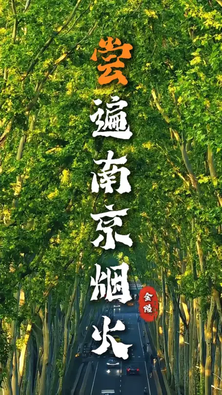 吃遍南京街巷烟火，从早到晚吃透金陵本味
