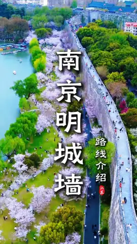 南京城墙精华路线：不走全程，轻松读懂千年金陵古韵