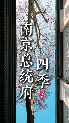 如果你不知道什么时候来南京总统府，就看看这条南京总统府四季视频吧，带你找到最心仪的美景