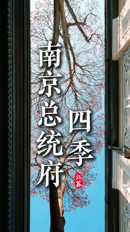 如果你不知道什么时候来南京总统府，就看看这条南京总统府四季视频吧，带你找到最心仪的美景