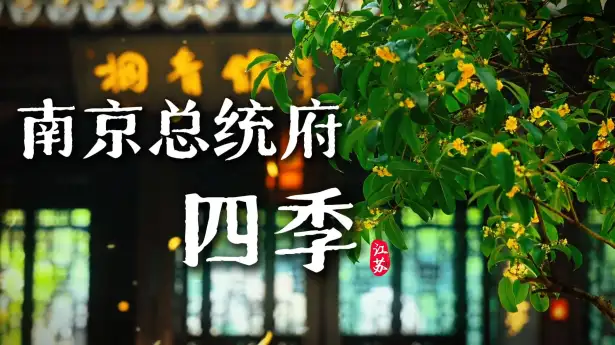 南京总统府什么时候来最合适？看完这条南京总统府四季风景视频，你就知道