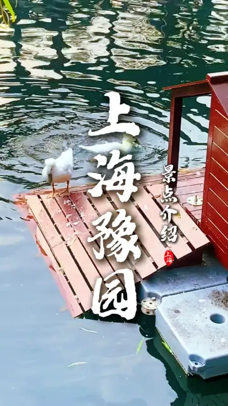 上海豫园怎么玩？豫园景点介绍全面来袭，带你逛遍整个豫园不踩雷