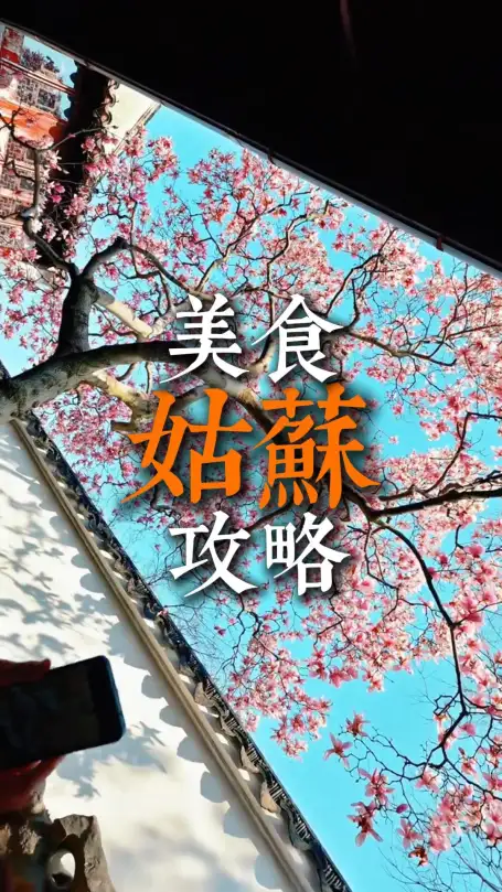 苏州本地美食合集，吃透地道姑苏烟火味