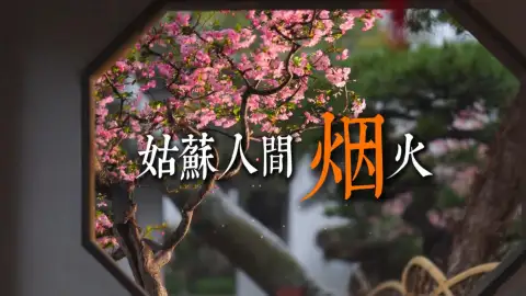 吃透苏州本地美食,逛吃小巷解锁姑苏味道