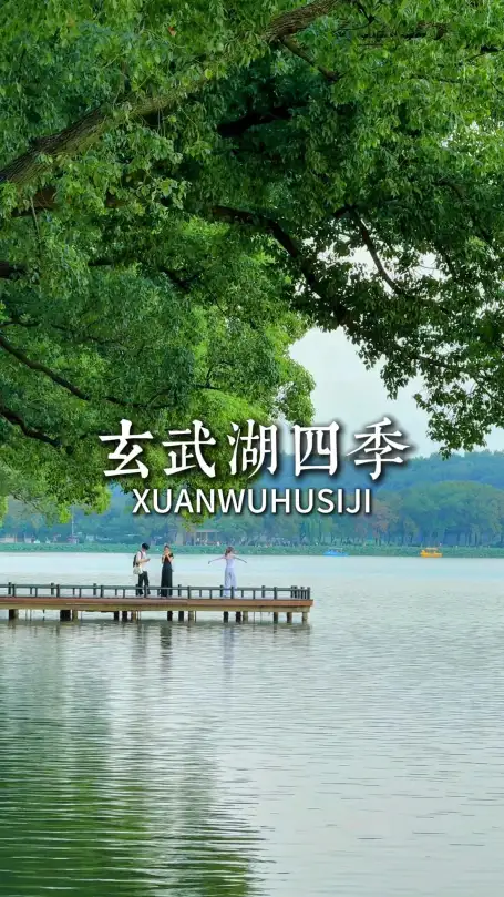 逛遍玄武湖四季怎么逛?一站式带你感受四季浪漫风光