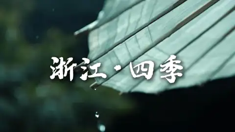 四季风光各有韵味，浙江四季皆值得奔赴