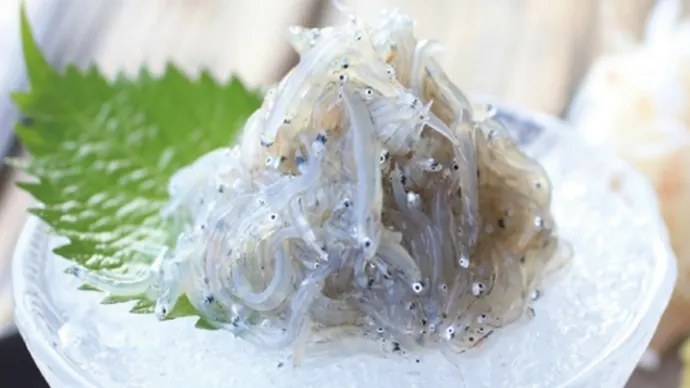 银鱼羹