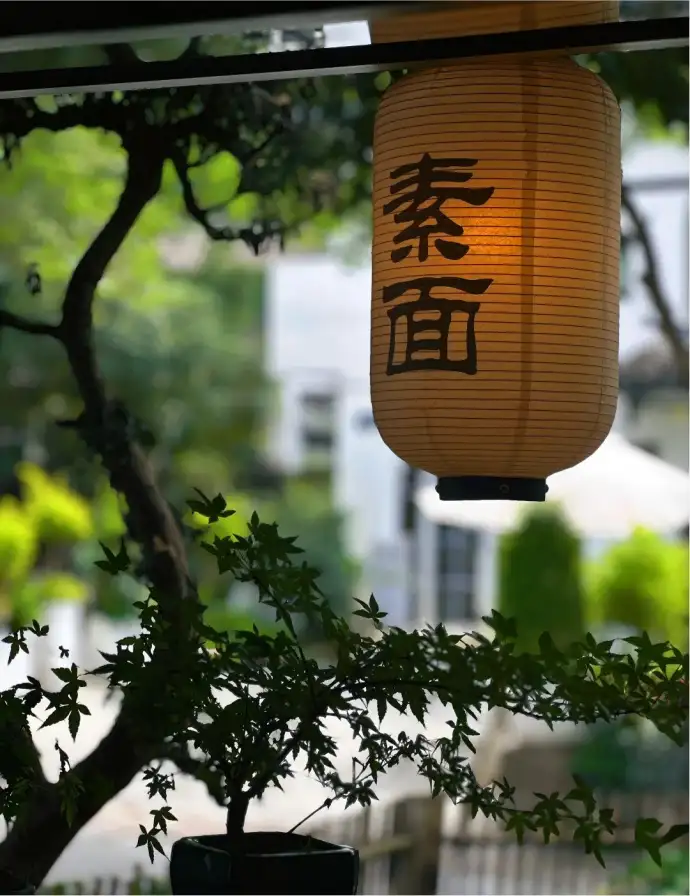 知竹手工素面