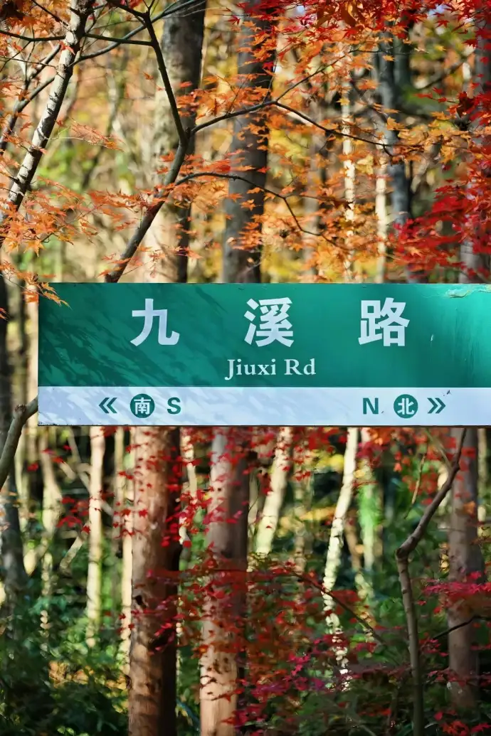 九溪烟树