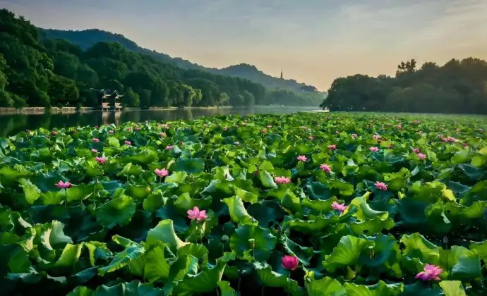 西湖