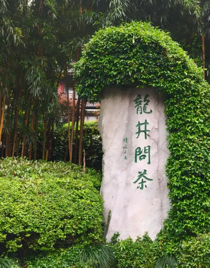 龙井问茶