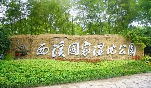 西溪湿地公园
