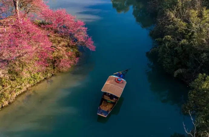 西溪摇橹船