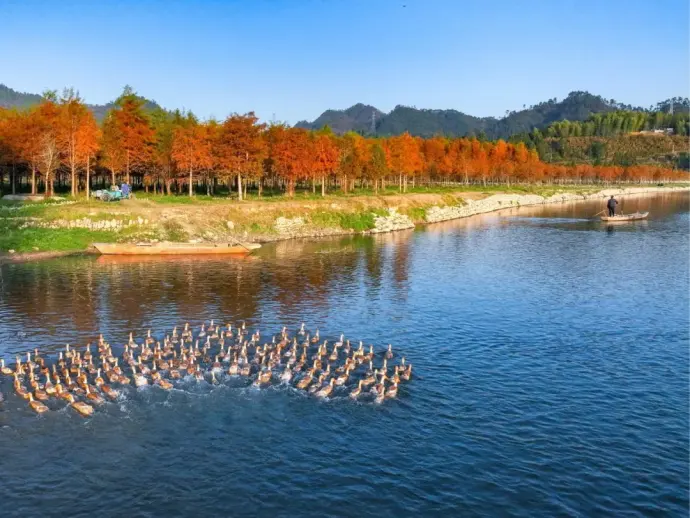 千岛湖秋季