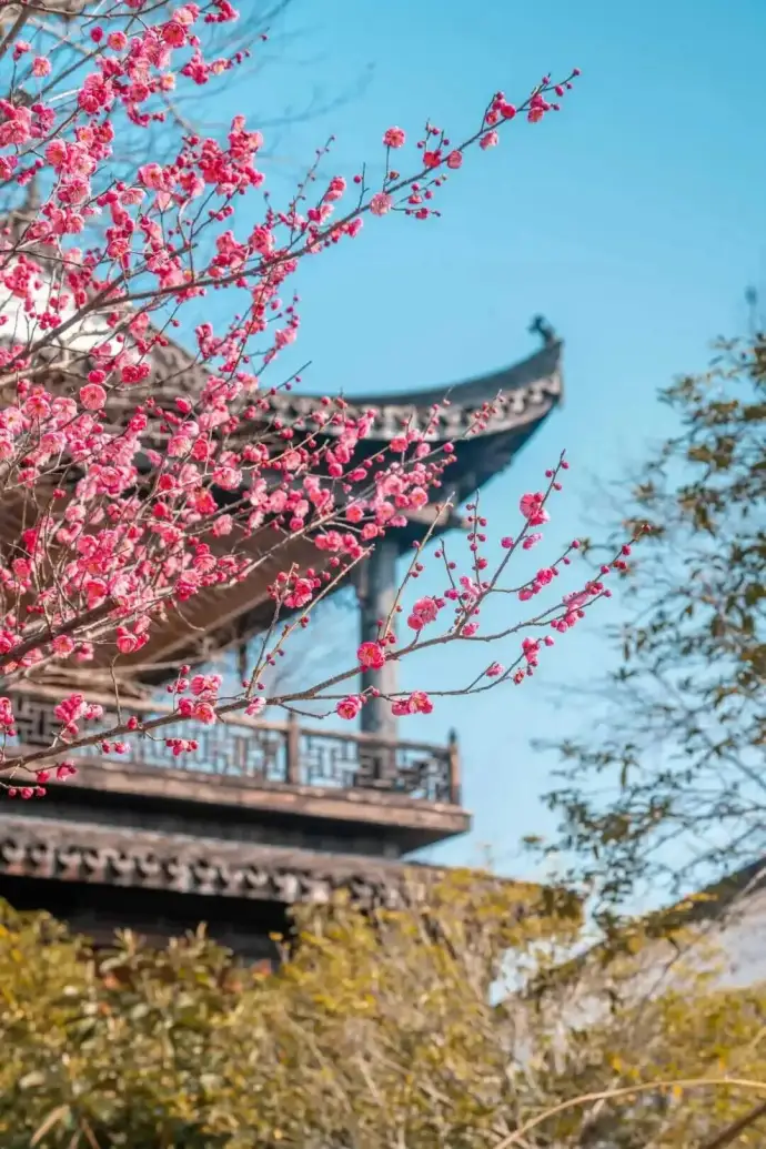 文渊狮城