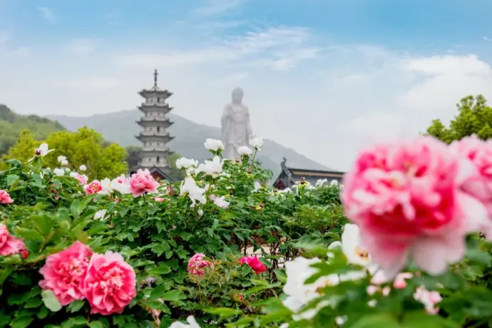 灵山春季风景