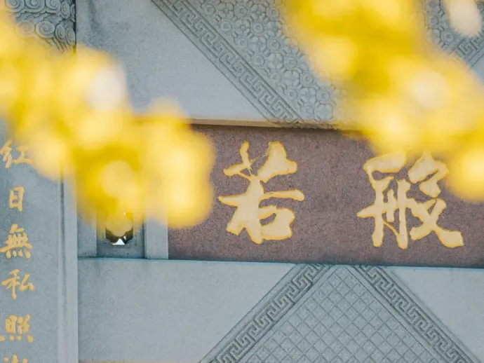 银杏
