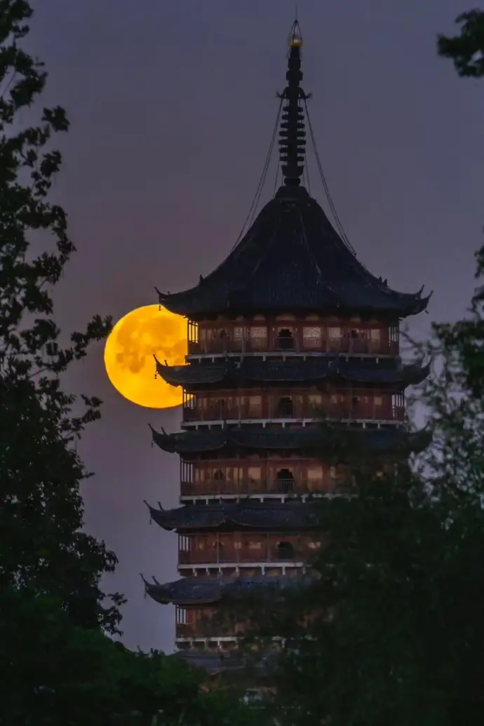 拙政园游园