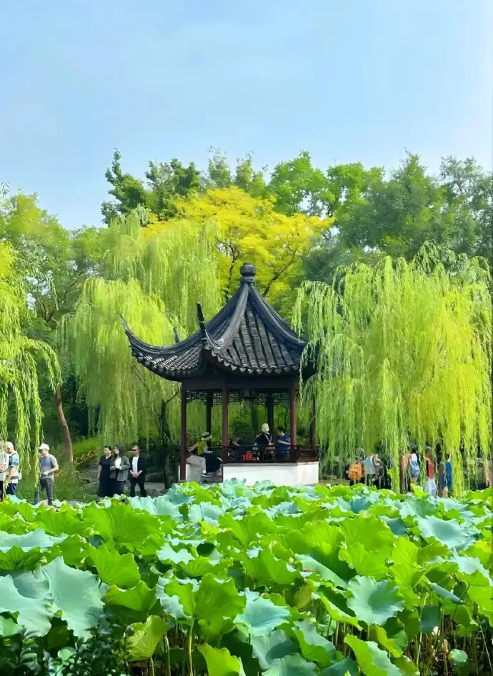 荷风四面亭