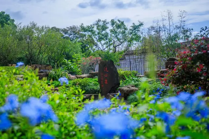 洗心泉