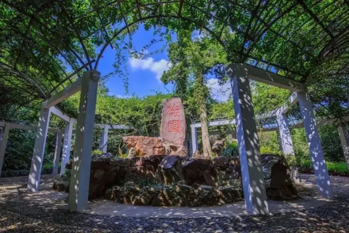 无锡梅园风景