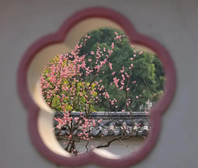 荣氏梅园