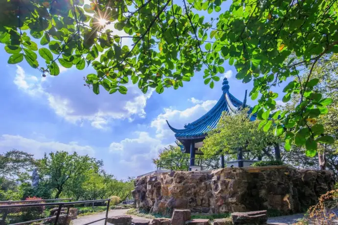 梅园风景