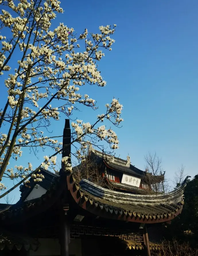 盘门春