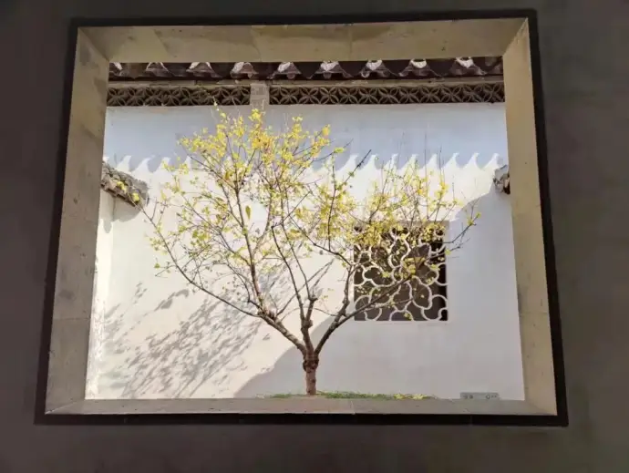 狮子林